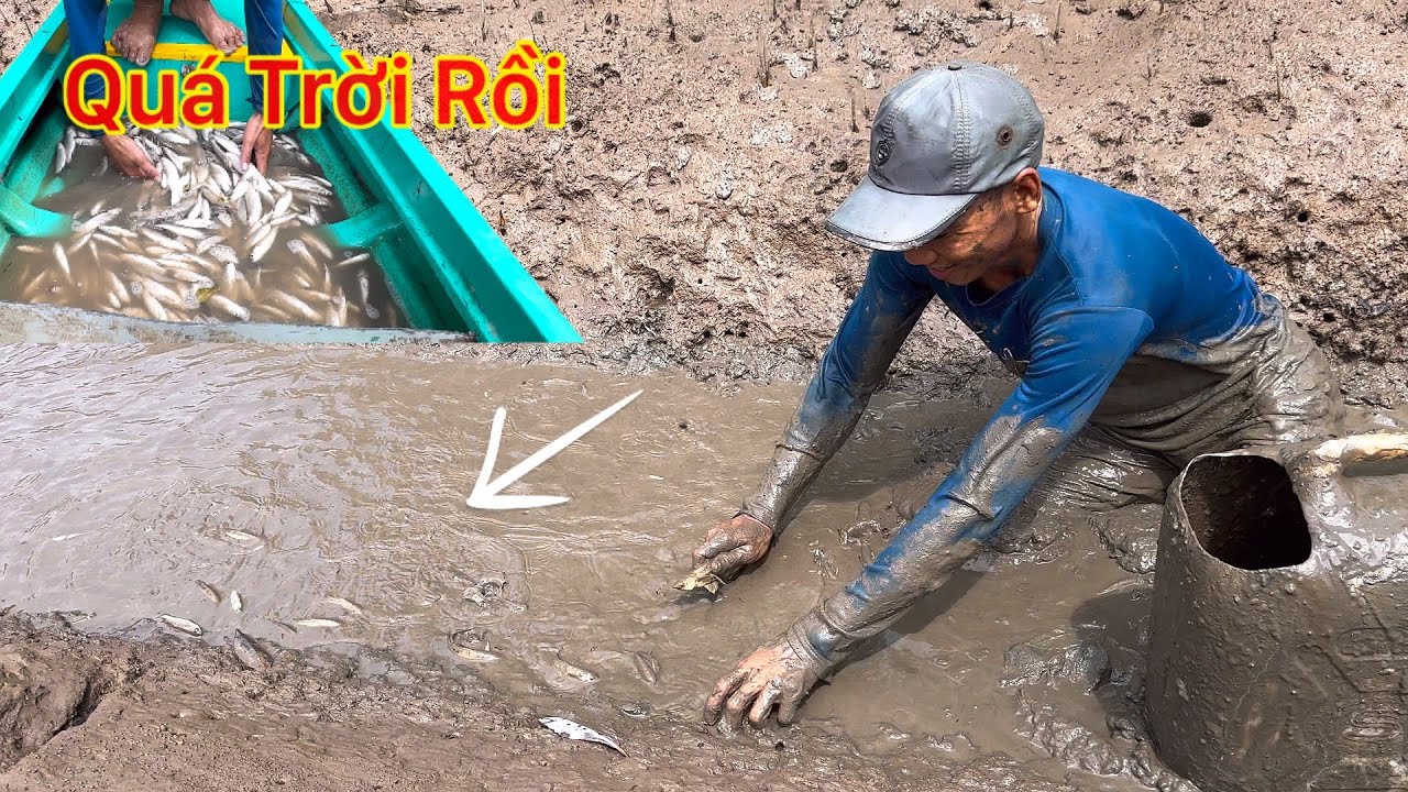 Quá Trời Rồi Đắp Cái Khe Nhỏ Không Ngờ Tôm Cua Cá Quá Nhiều