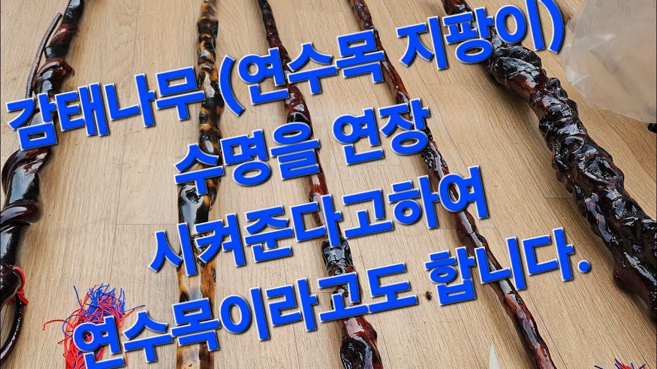 @연수목지팡이