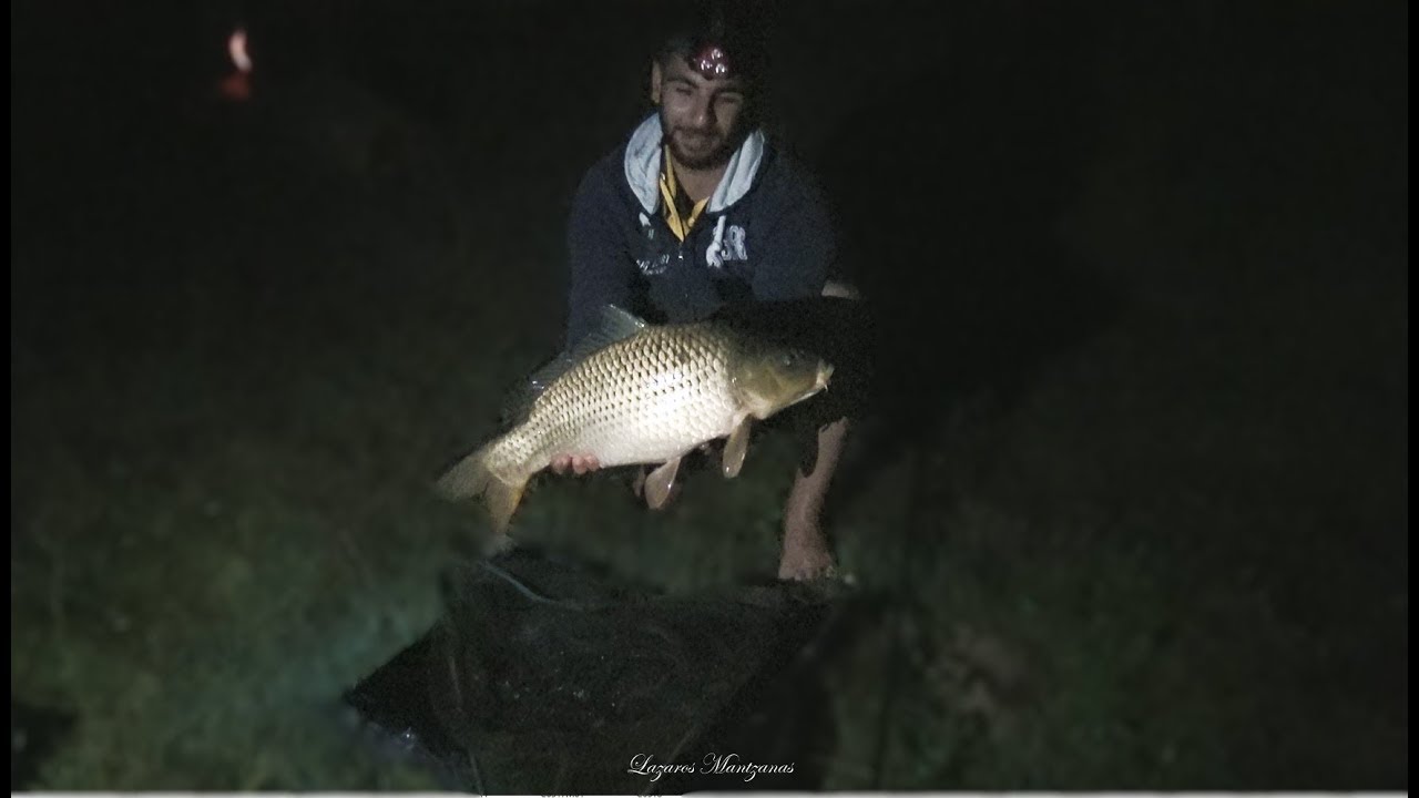 Carp Team Grevena - Κυπρίνος Ο Βασιλιάς Του Γλυκού Νερού (Πρώτη Φορά Ψάρεμα)
