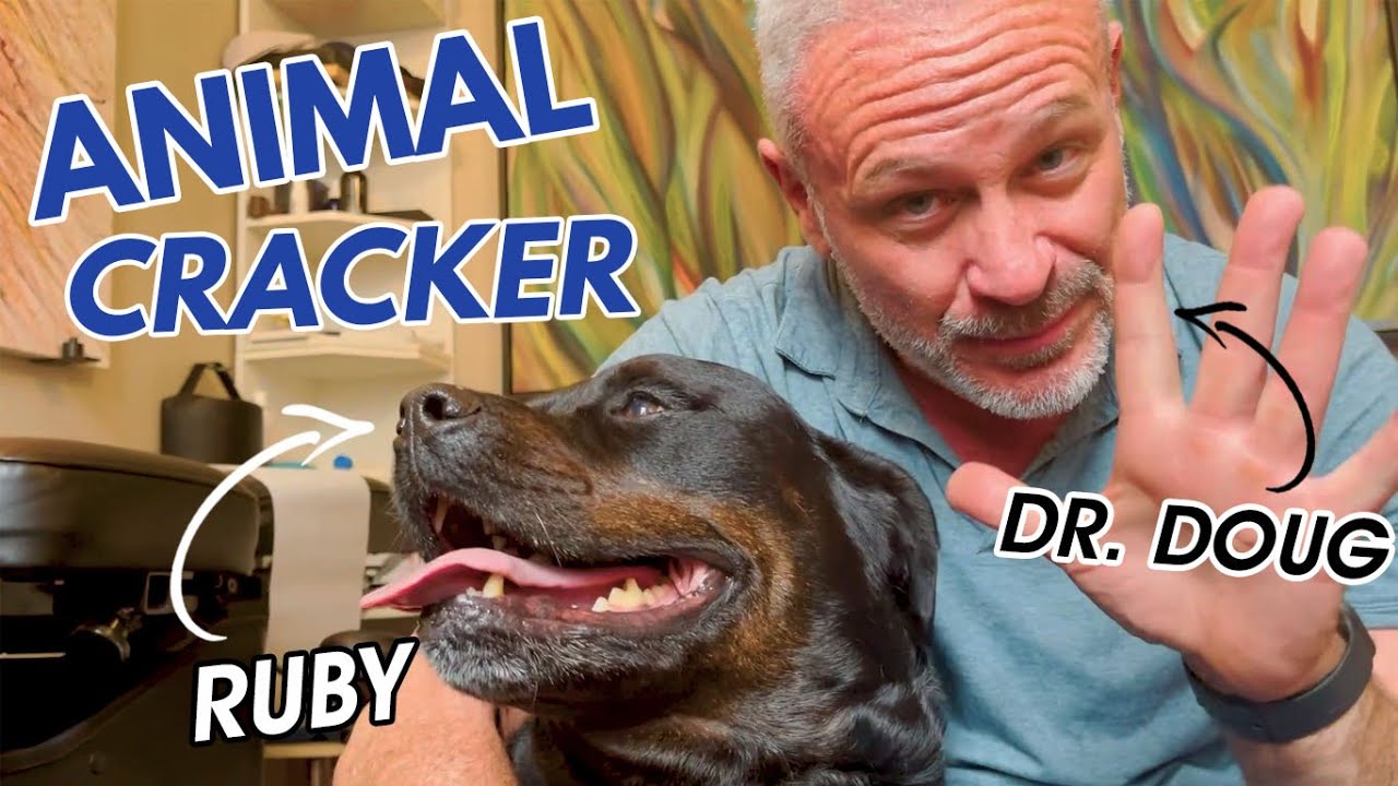 OLD ROTTWEILER ~ MADLY in LOVE with her CHIROPRACTOR! (PART 9)