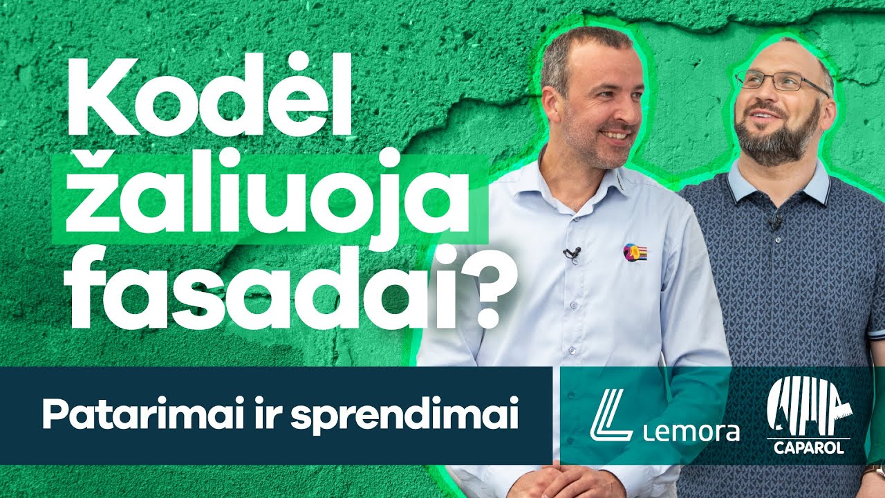 Kodėl žaliuoja fasadai? Specialistų patarimai ir sprendimai