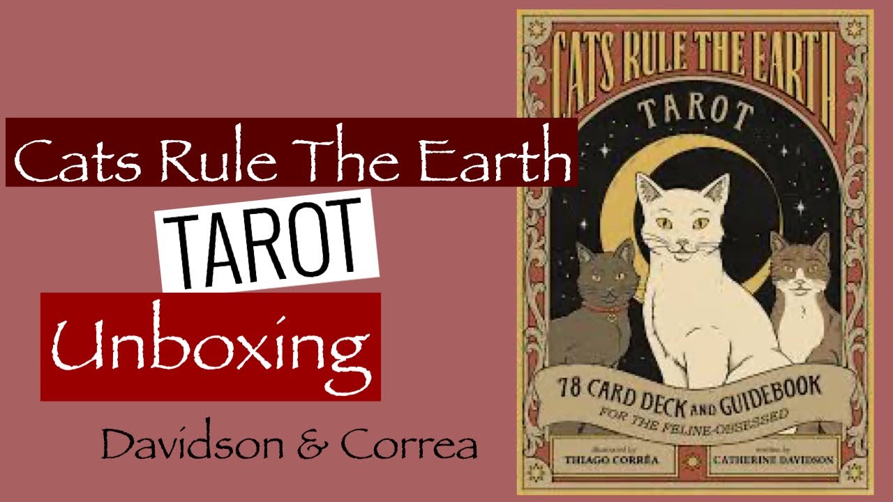 The CUTEST CAT Tarot Deck Ever! CATS RULE THE EARTH TAROT