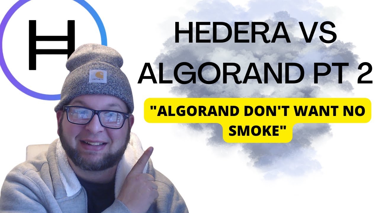 HEDERA VS ALGORAND PT 2 | EVM Compatibility ? |
