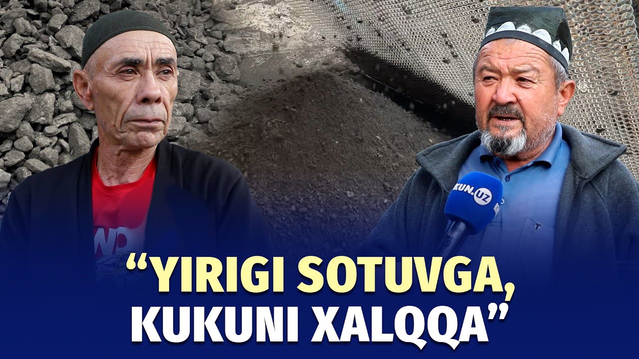 Qish yaqin: ko‘mir g‘amidagi popliklar