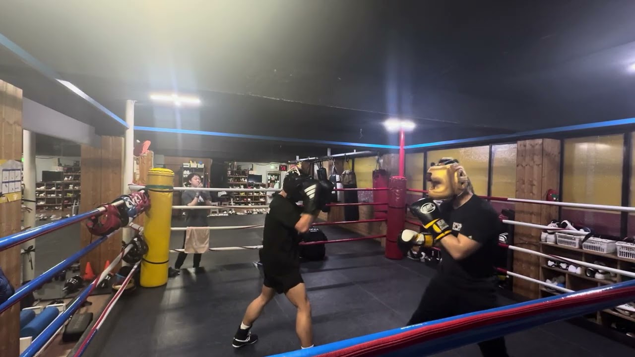 2026. 1. 15. BOX1