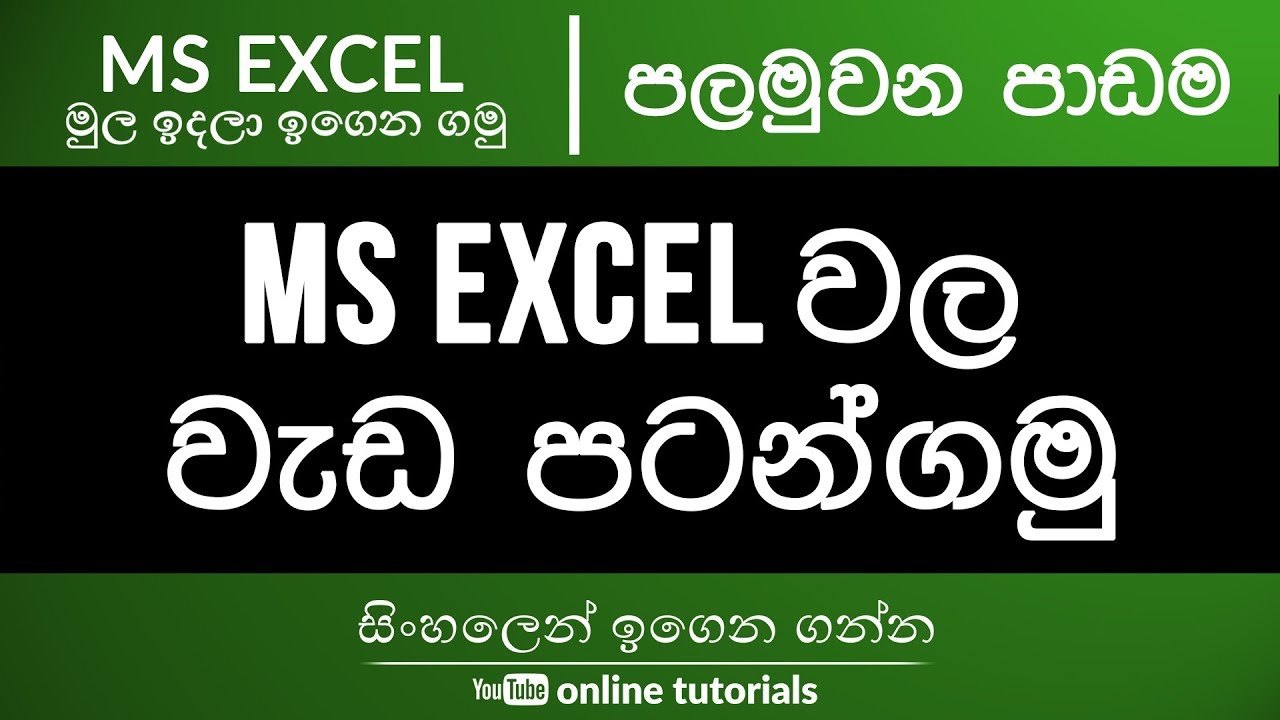 Microsoft Excel Beginner Course (Sinhala) Part 01 - Introduction to Interface