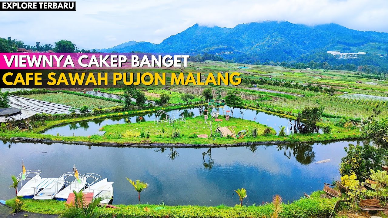 CAFE SAWAH PUJON KIDUL MALANG TERBARU ‼ Desa Wisata Pujon Kidul Malang