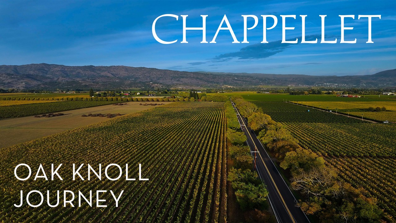 All Roads Lead to Pritchard Hill  | Napa Valley’s Harvest Drive to Chappellet