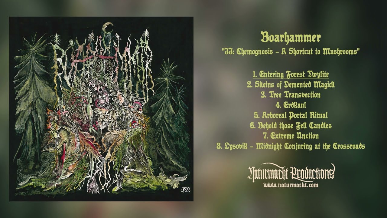 Boarhammer - II: Chemognosis – A Shortcut to Mushrooms | Proto Black Metal - Full Album