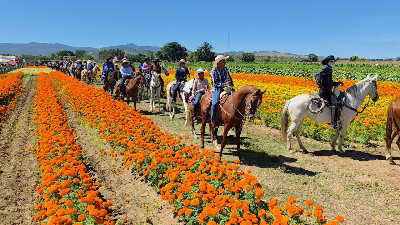 Camino hacia el mictlan cabalgata de día de muertos Guadalupe Etla. 