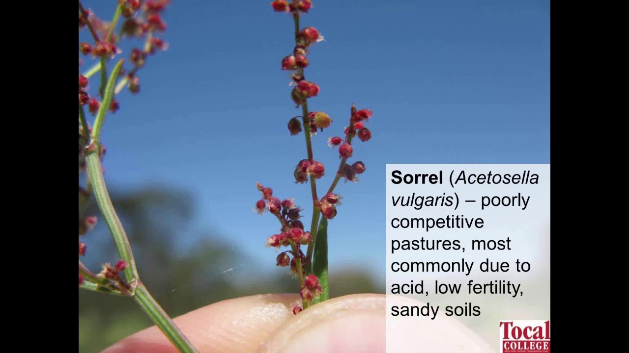 Reading the landscape - not just your soil test