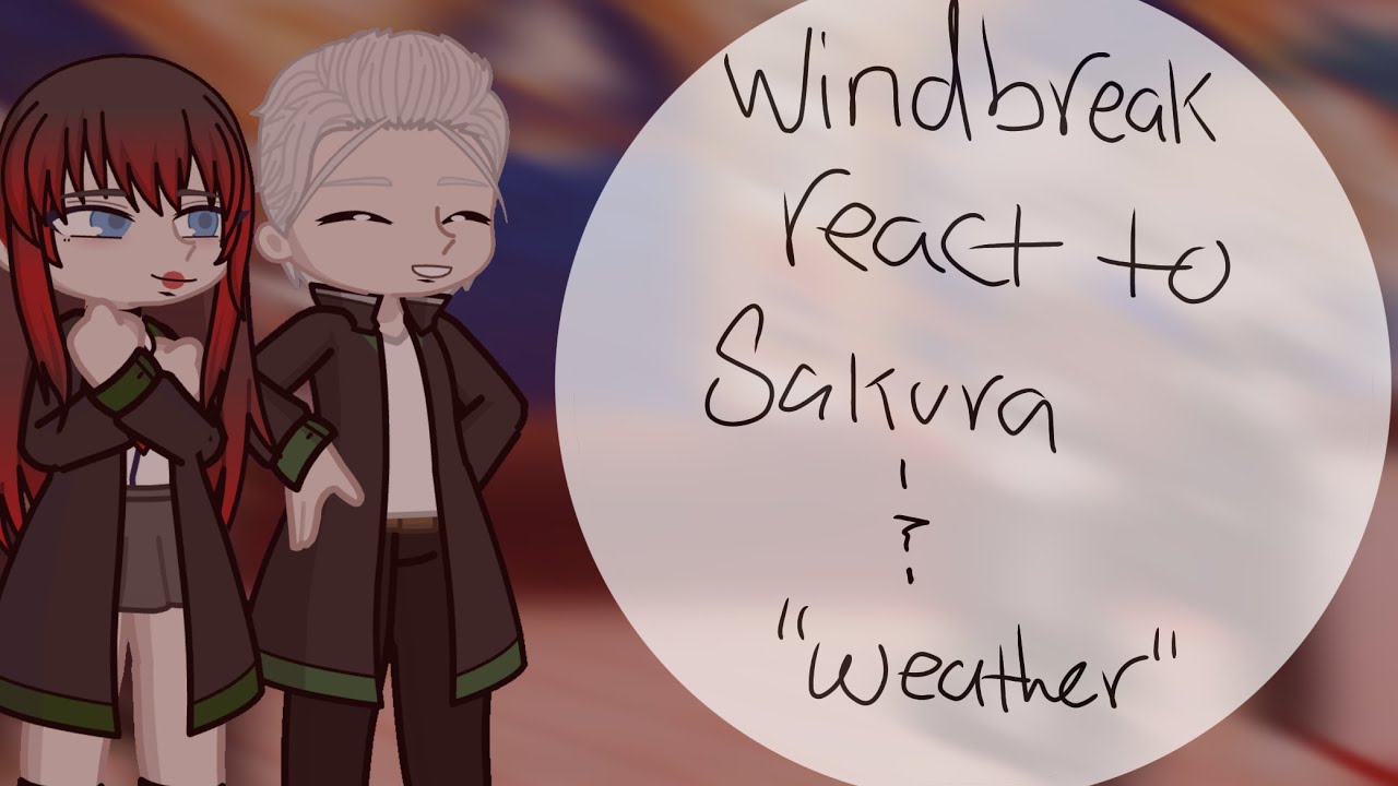 ||Wind Breaker react to Sakura and “Weather”||AU {2X SPEED}