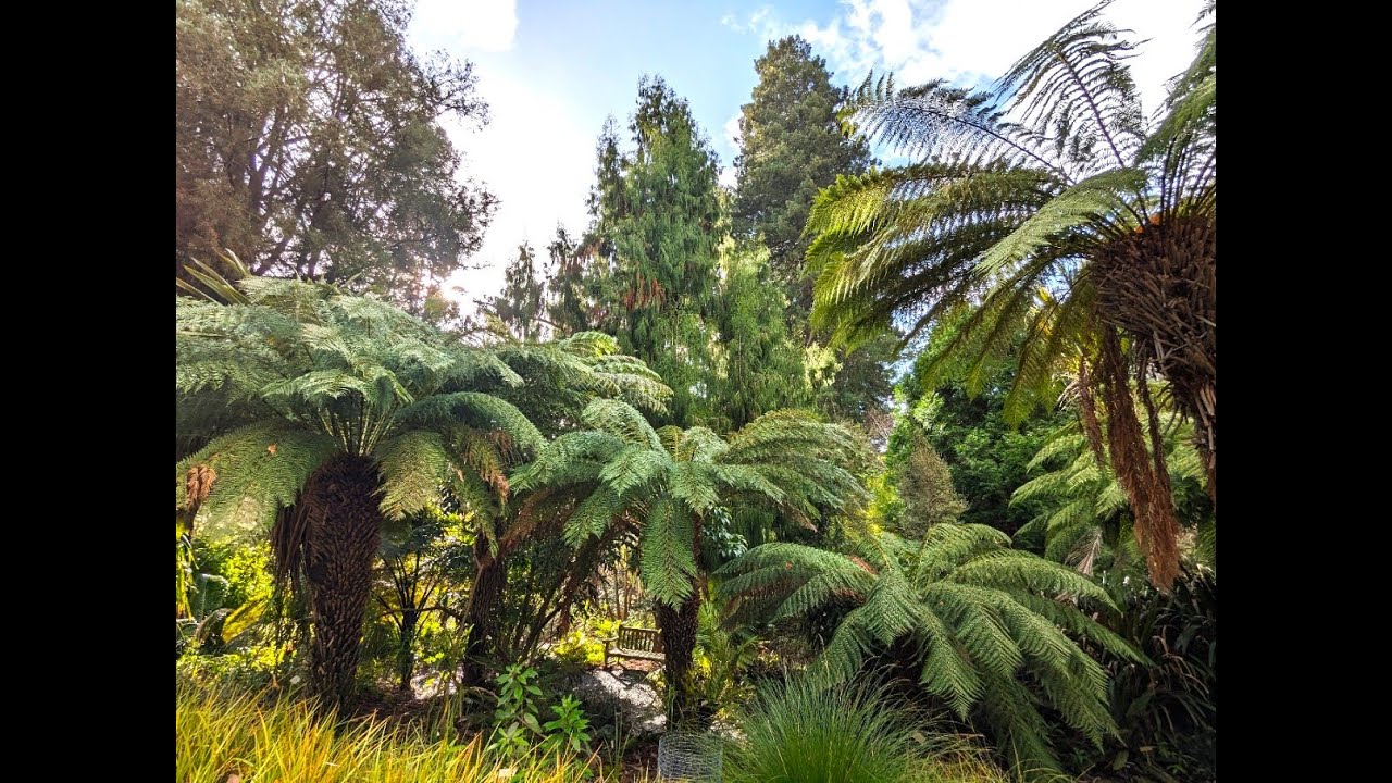 GARDENS OF THE EAST BAY, Episode #2, March, 2024