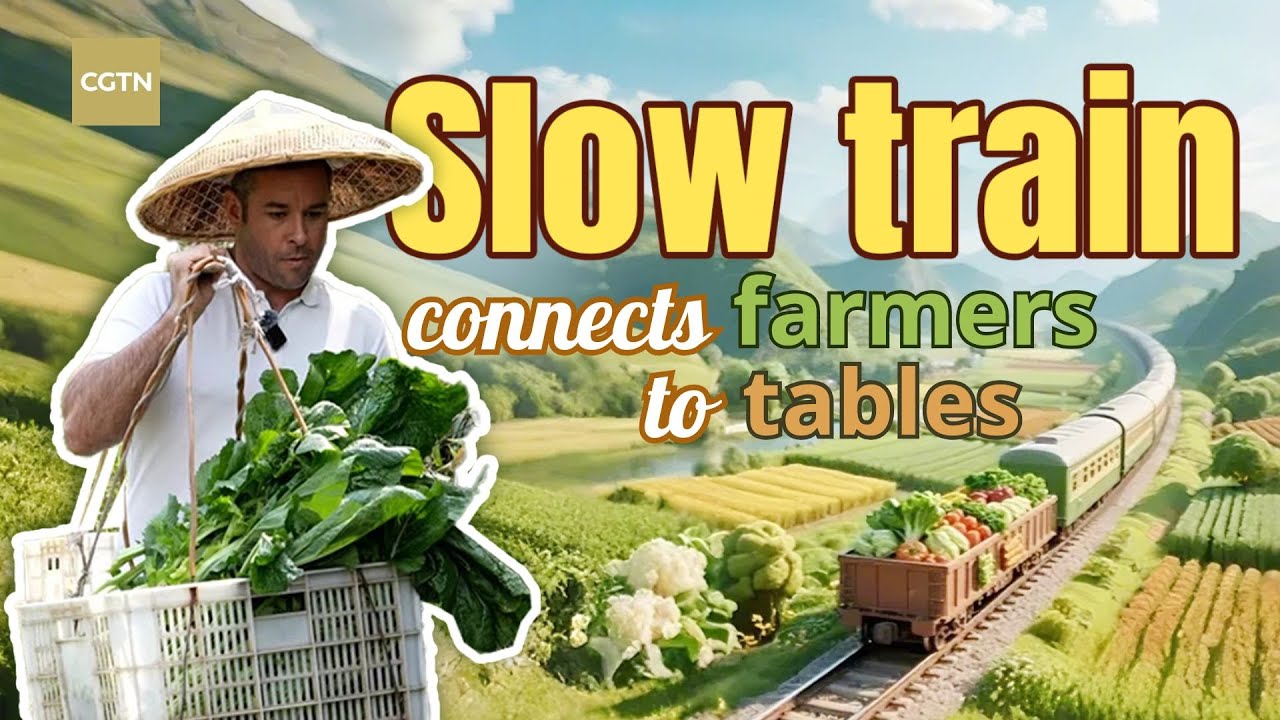 'Slow train' connects farms to tables across China