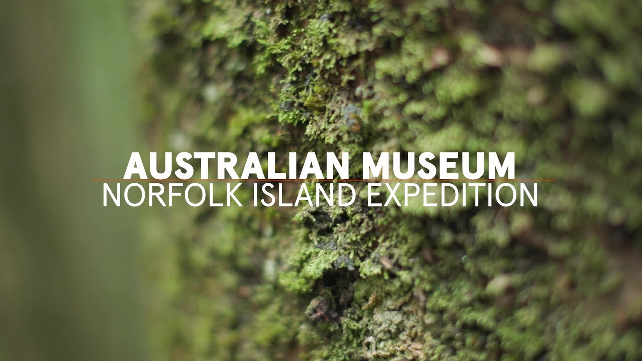 Norfolk Island Expedition 2022