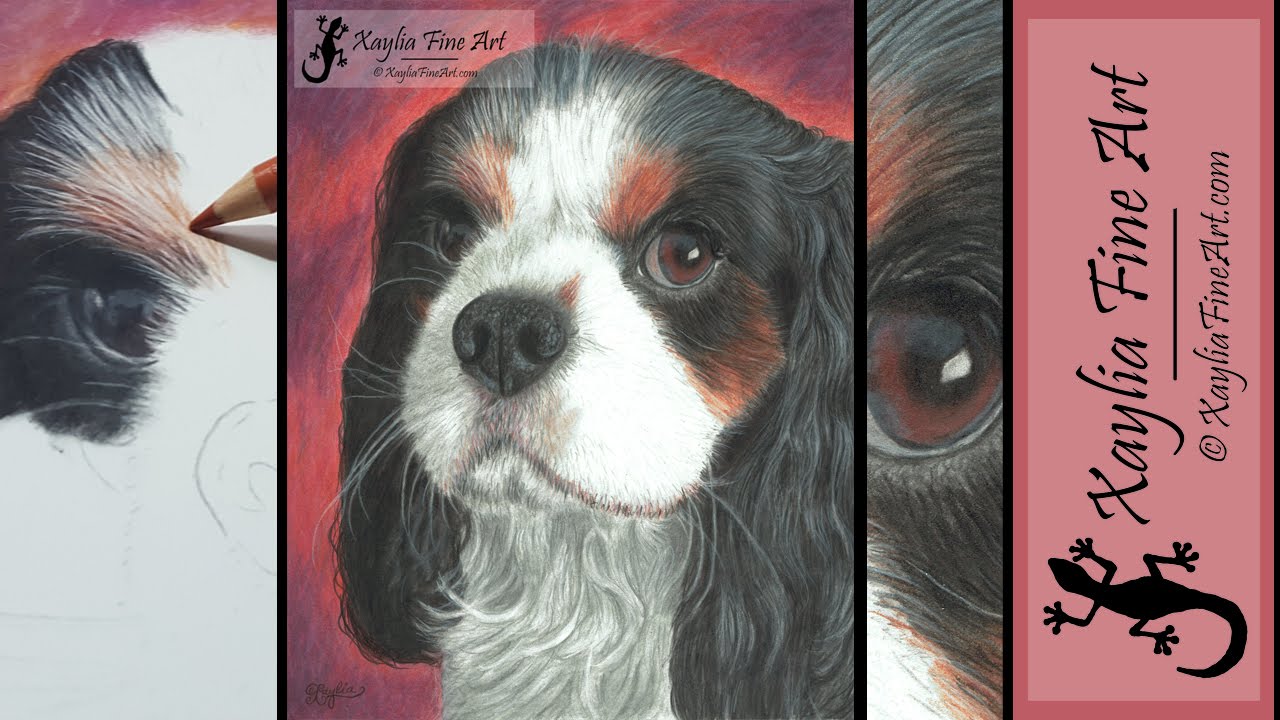 Extended Tutorial: how to draw a dog eye in coloured pencils