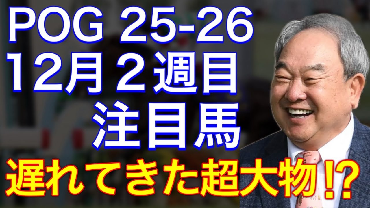 【POG/25&minus;26】12月2週目デビューの注目新馬を紹介【遅れてきた超大物か⁉️金子オーナーのページターナー！】