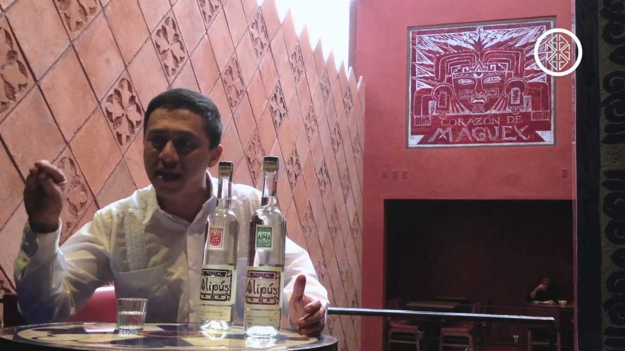 Cata de mezcal: &iquest;c&oacute;mo se degusta este destilado mexicano?