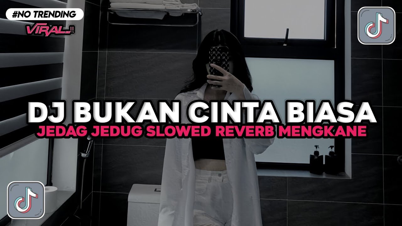 DJ BUKAN CINTA BIASA DIRIKU HANYA INSAN BIASA MILIKI NALURI YANG SAMA VIRAL TIKTOK TERBARU 2026