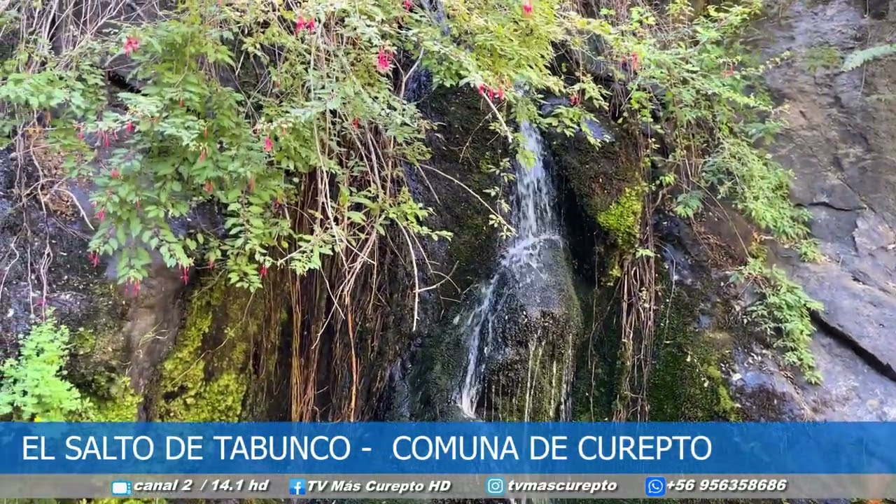 EL SALTO DE TABUNCO COMUNA DE CUREPTO