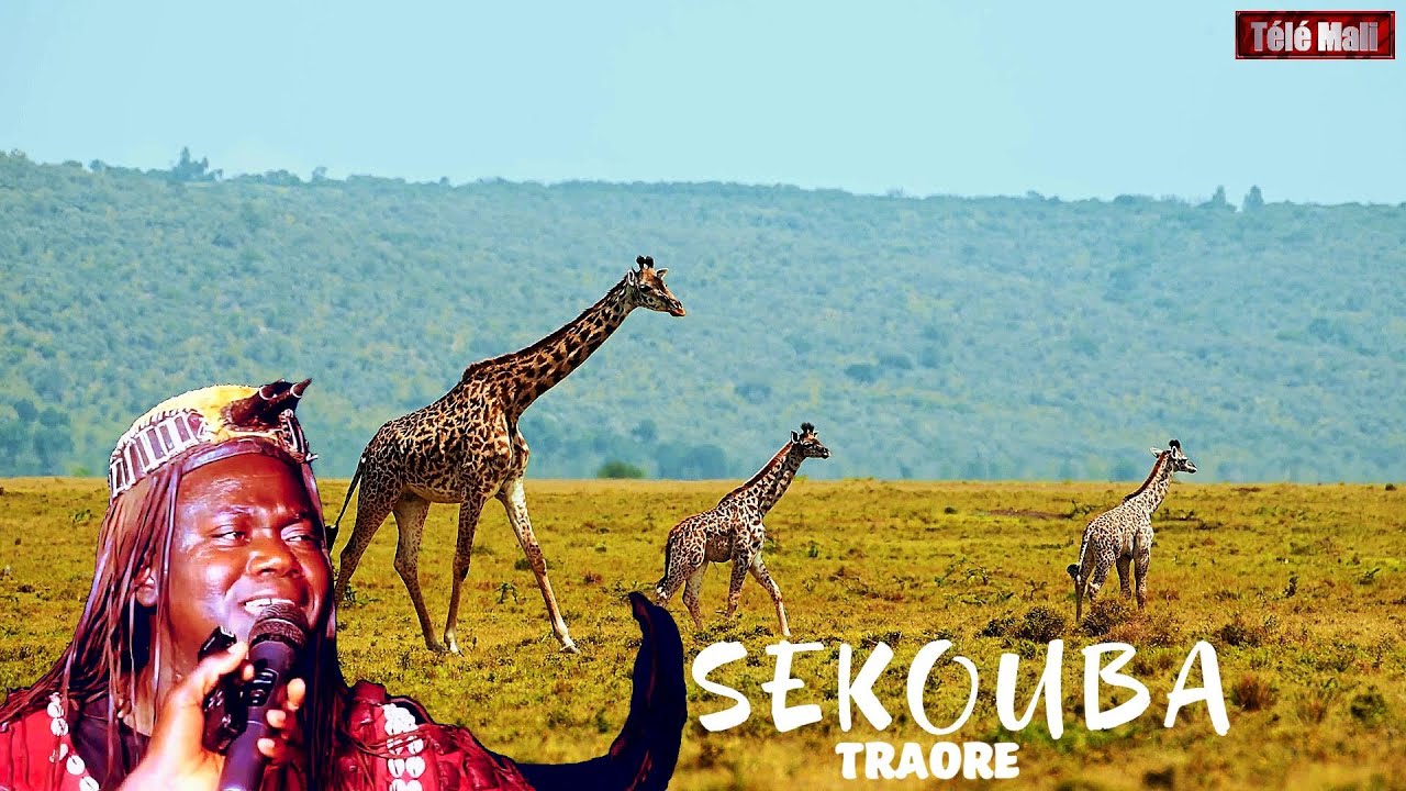 Sekouba Traore - kati Taka