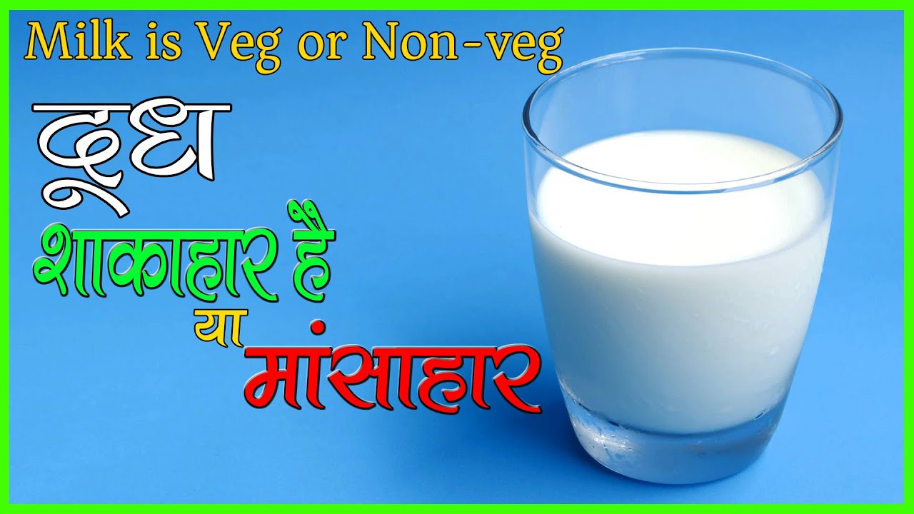Is milk vegetarian or non-vegetarian? | Milk is Veg or None-veg?