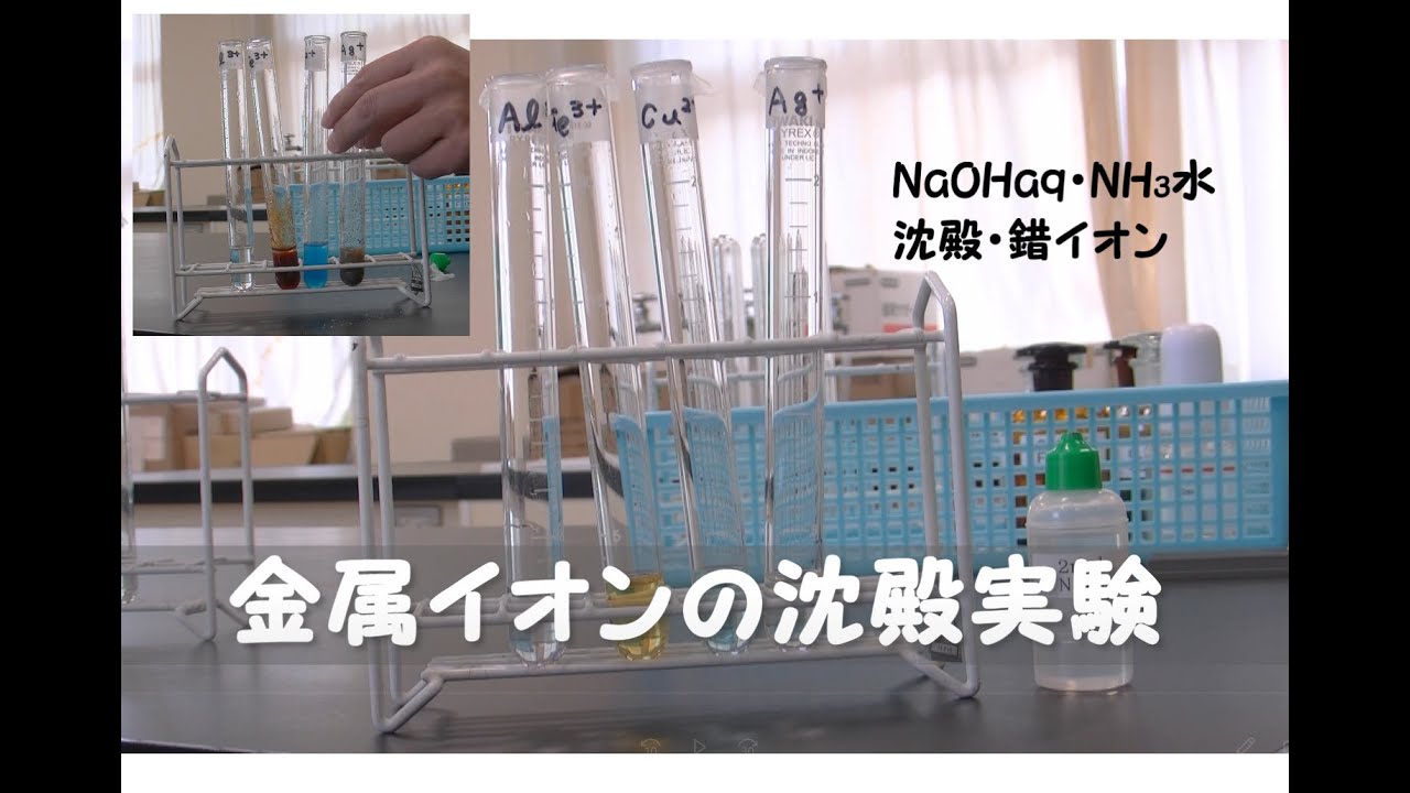 無機化学　実験　　　　　　金属イオンの沈殿反応
