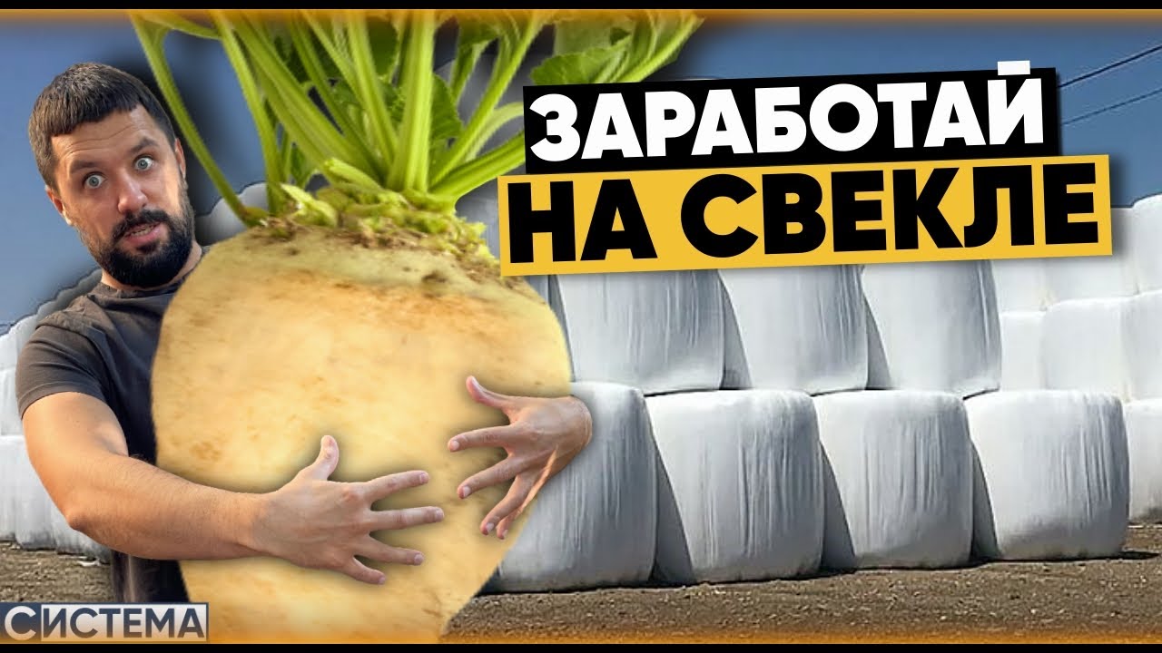 КАК ЗАРАБОТАТЬ НА ОТХОДАХ СВЕКЛЫ? ЖОМ В РУЛОНАХ И УПАКОВЩИК КОРМА