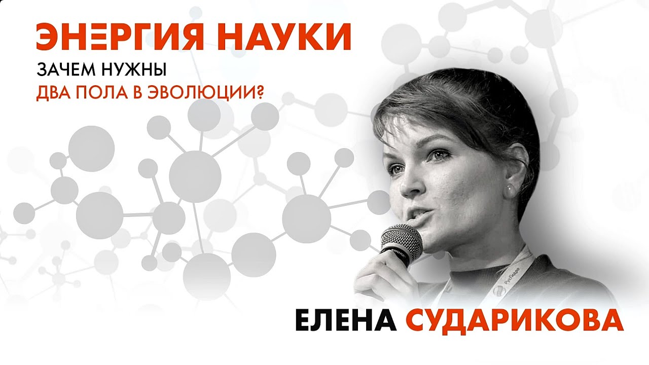 Лекция Елены Судариковой 