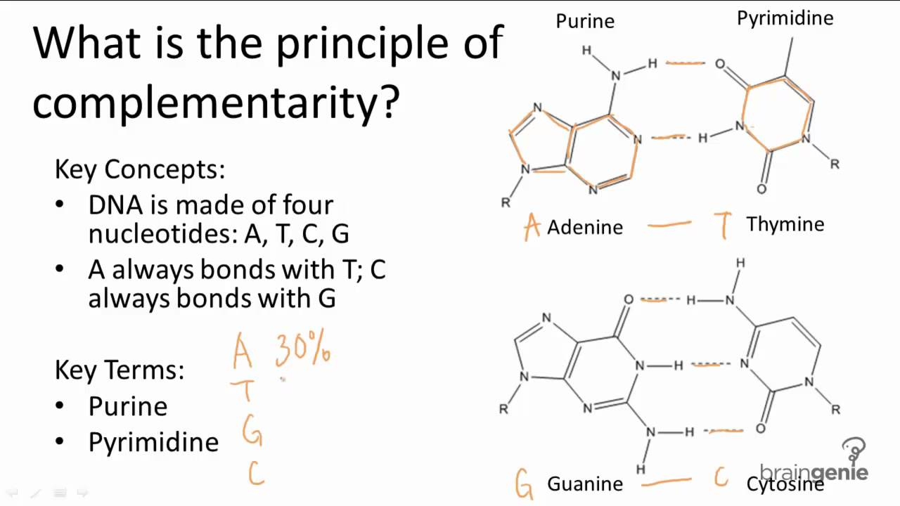 10.1.2 Principle of Complementarity