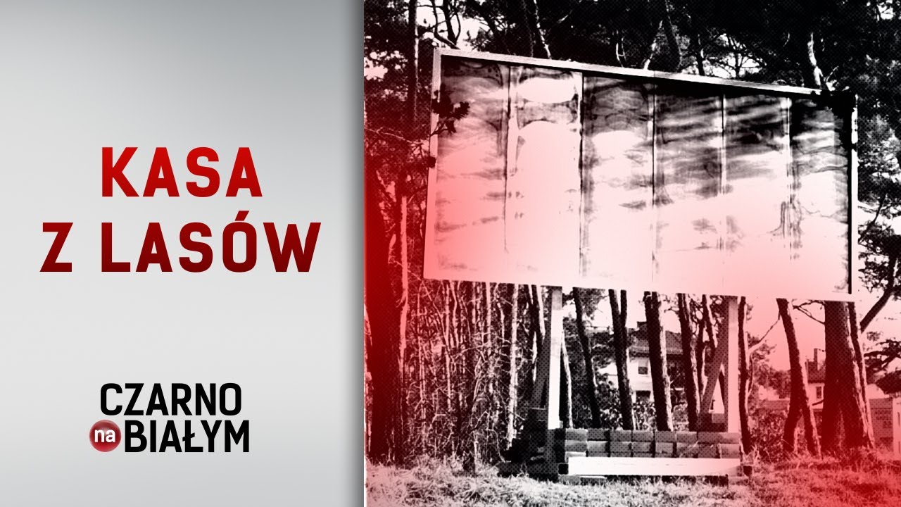 Kulisy kampanii billboardowej Lasów Państwowych [Czarno na białym TVN24]