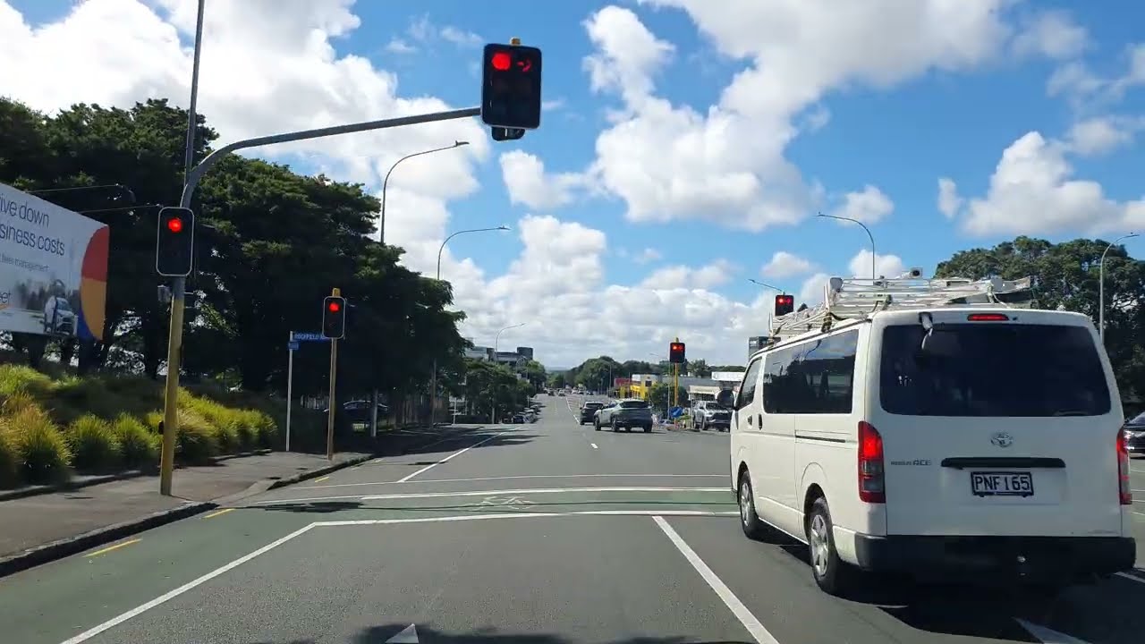 Auckland NZ: Greenlane Drive: Real Time POV