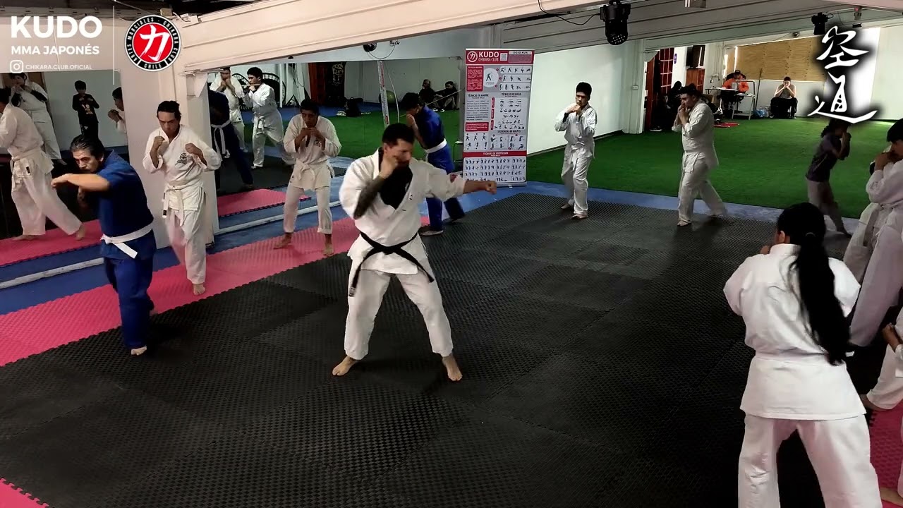 KUDO | MMA Japonés | Clase abierta OVALLE (IV Región)