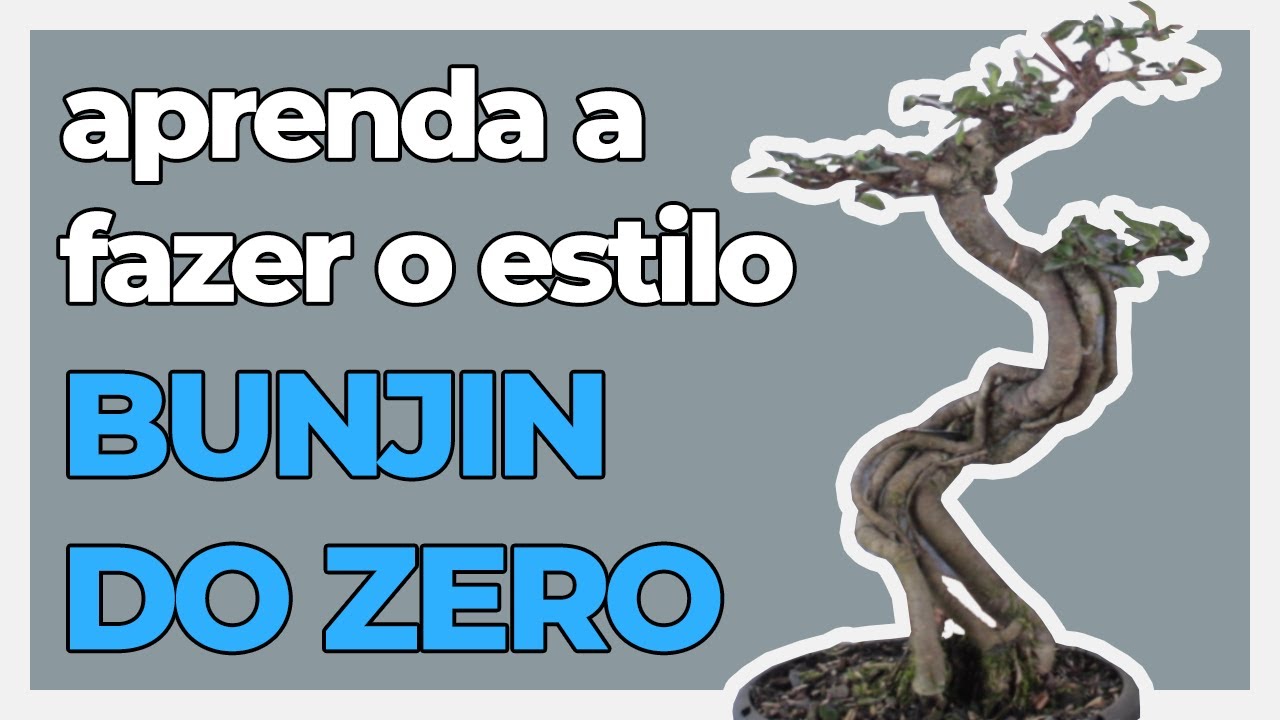 COMO FAZER BONSAI ESTILO BUNJIN DO ZERO