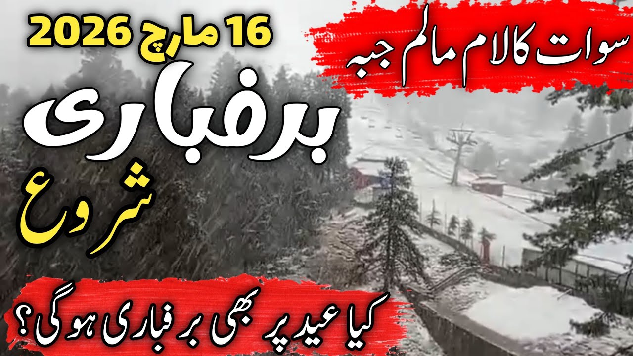 #swat Kalam live today | #kalam snowfall today | is there live snow on eid |  Kalam latest updates