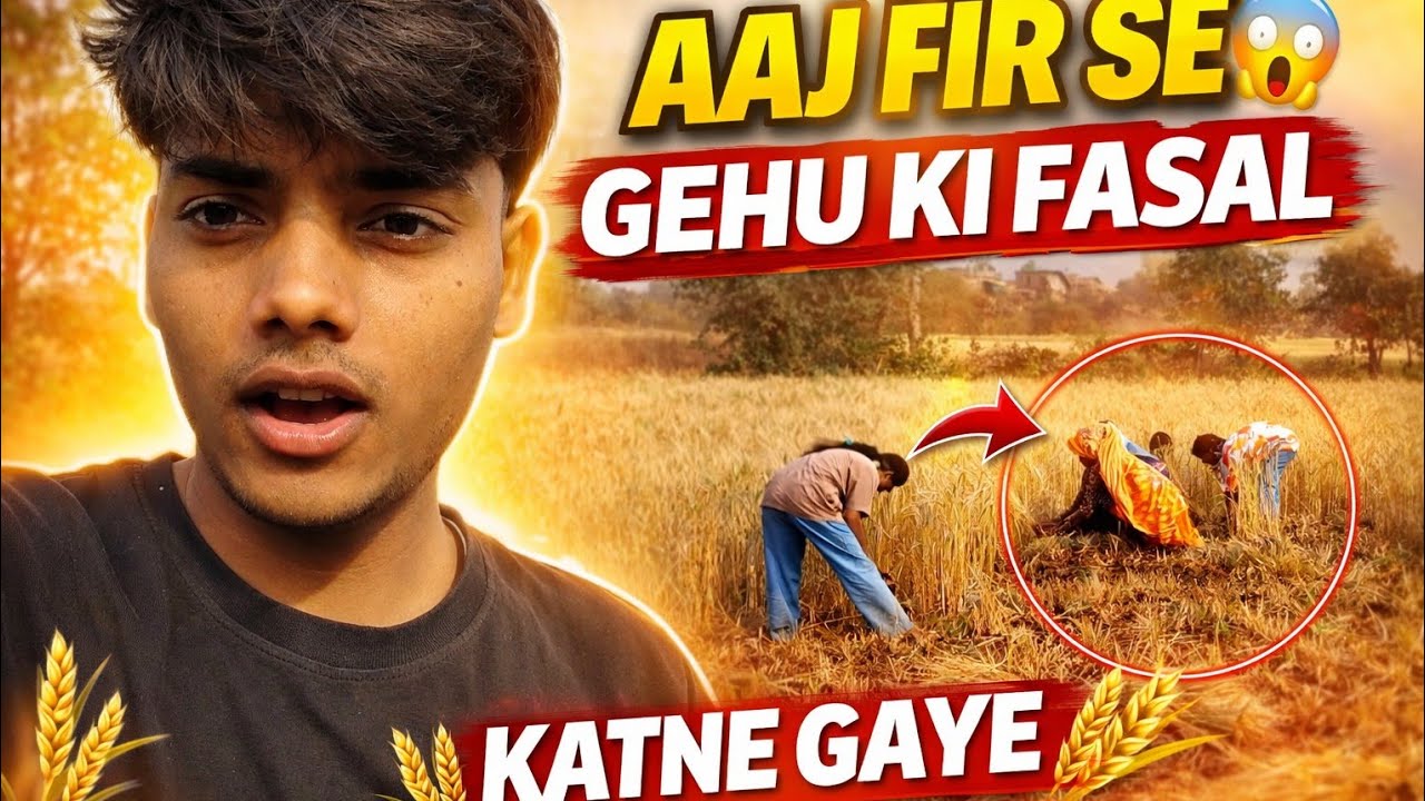 Aaj Fir Se Gehu Ki Fasal Katne Gaye 😲 | Gaon Ki Mehnat Bhari Zindagi 🌾