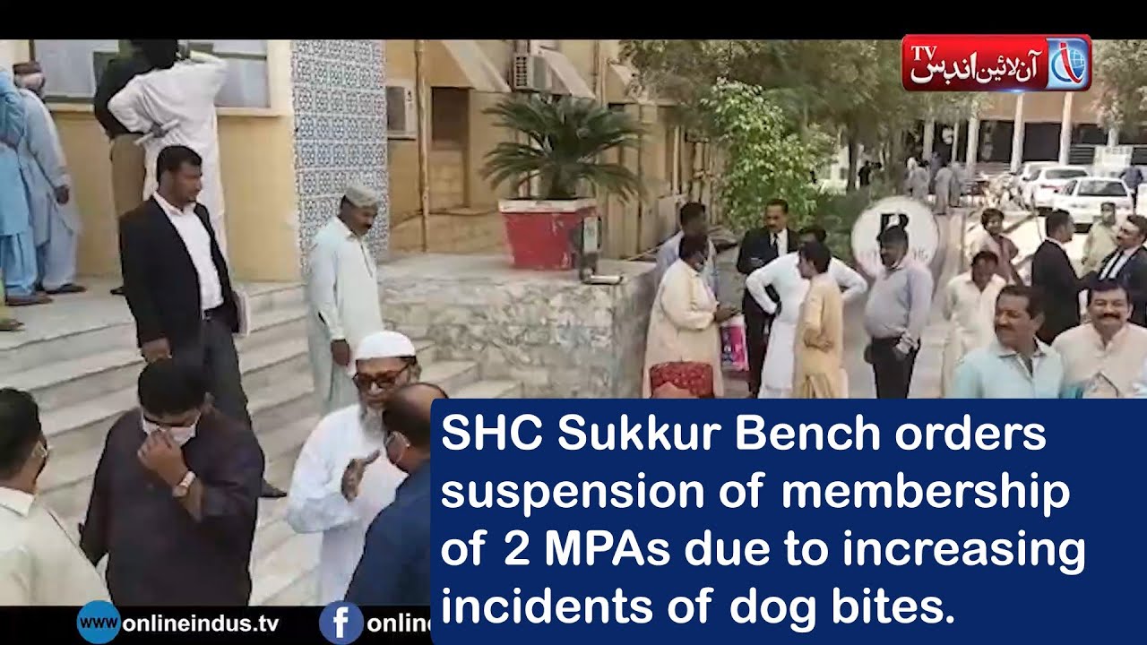 SHC Sukkur Bench orders suspension of membership of 2 MPAs due to increasing incidents of dog bites.