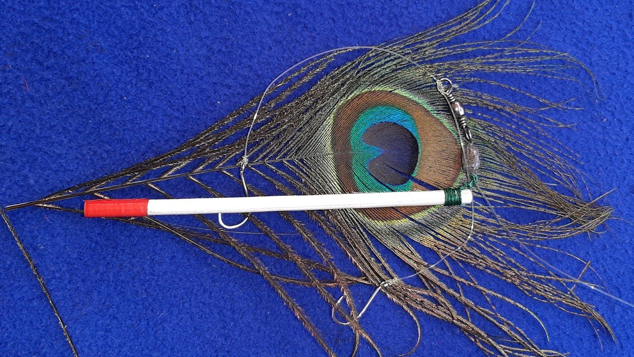 How to make float with peacock feather
