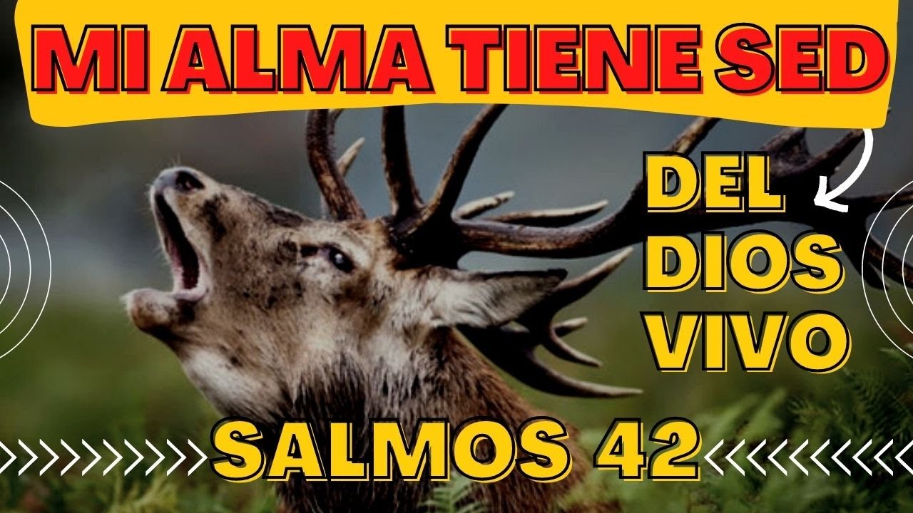 POR QUÉ EL SALMISTA DAVID SE COMPARÓ CON UN CIERVO? [MI ALMA TIENE SED DE DIOS]