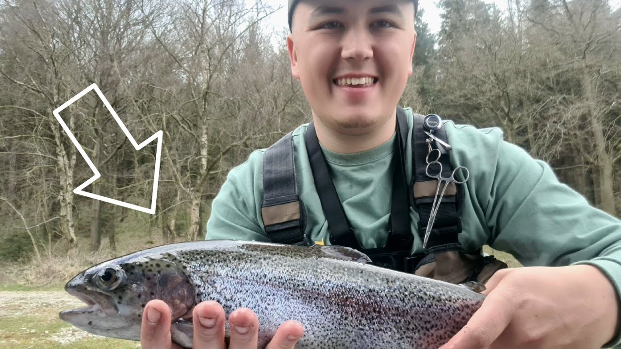 Trout Fishing at Ladybower Fisheries, I CAUGHT ALOT !