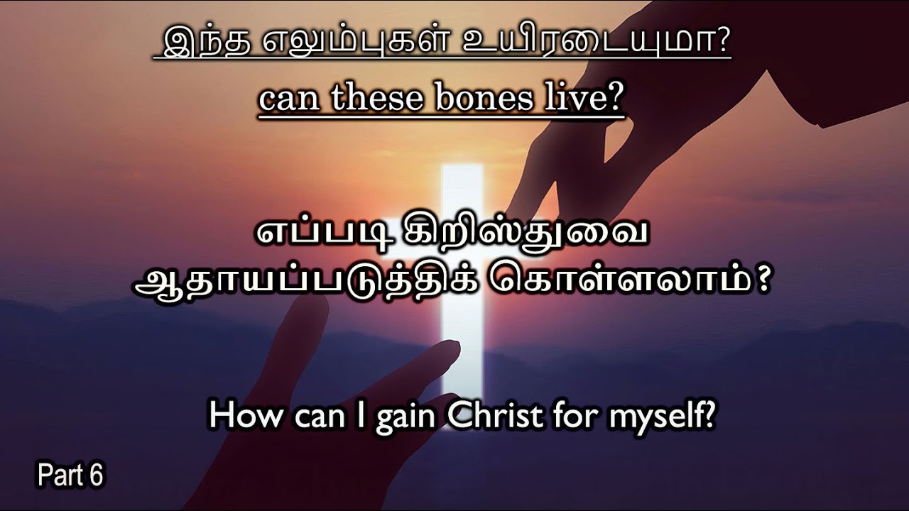 can these bones live? // இந்த எலும்புகள் உயிரடையுமா? Part 6