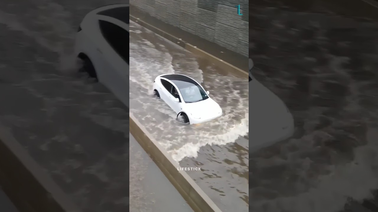 Will TESLA survive Indian roads?