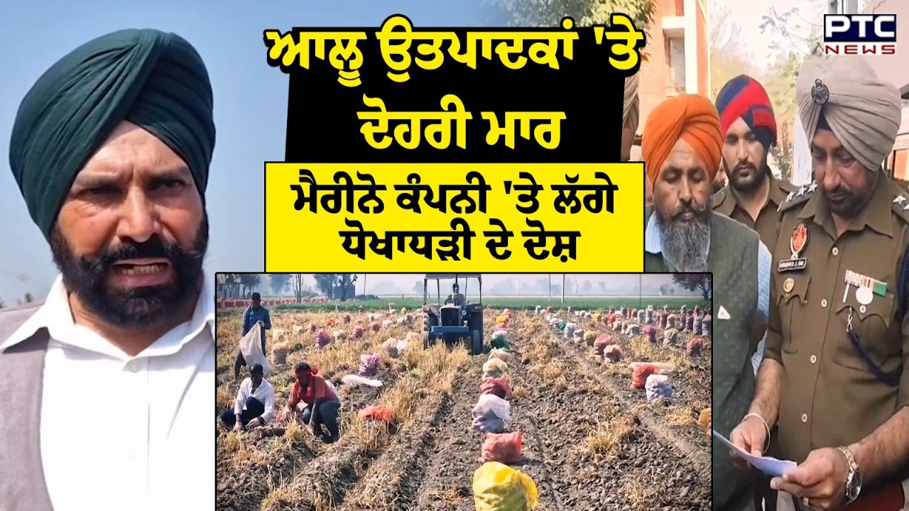 ਆਲੂ ਉਤਪਾਦਕਾਂ 'ਤੇ ਦੋਹਰੀ ਮਾਰ,4 ਰੁਪਏ ਕਿਲੋ ਵਿਕ ਰਿਹਾ ਆਲੂ,ਕਿਸਾਨਾਂ ਵੱਲੋਂ ਤੁਰੰਤ ਮੁਆਵਜ਼ੇ ਦੀ ਮੰਗ | Punjab News