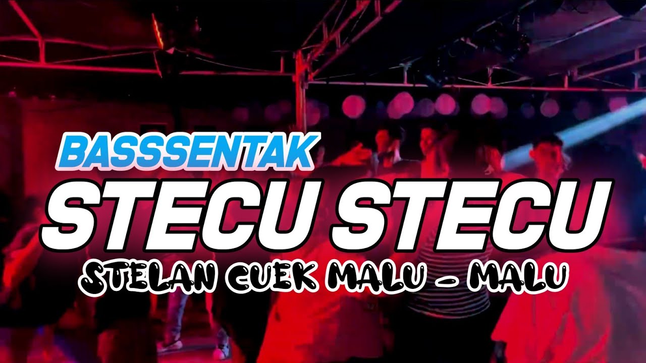 DJ STECU STECU STELAN CUEK MALU MALU 💃 - BASS SENTAK FULL PARTY - NZAR D'JOCKEY REMIX 🌴
