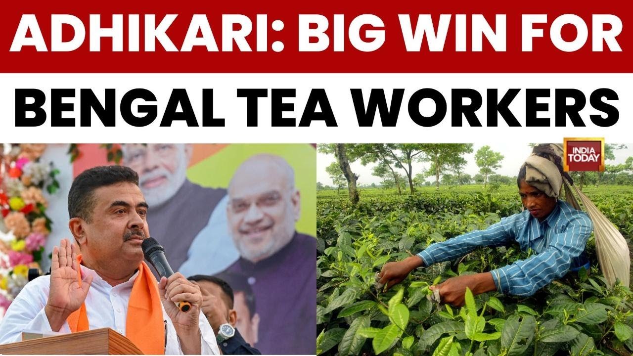 West Bengal Election Update: EC Accepts Tea Plantation Records, BJP Calls It Major Win | India Today