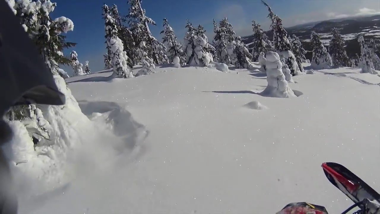 Snowmobiling in Arvidsjaur, Sweden 2016