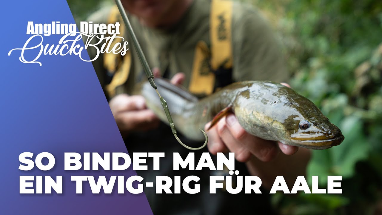 So bindet man ein Twig-Rig für Aale - Spezialist Quickbite