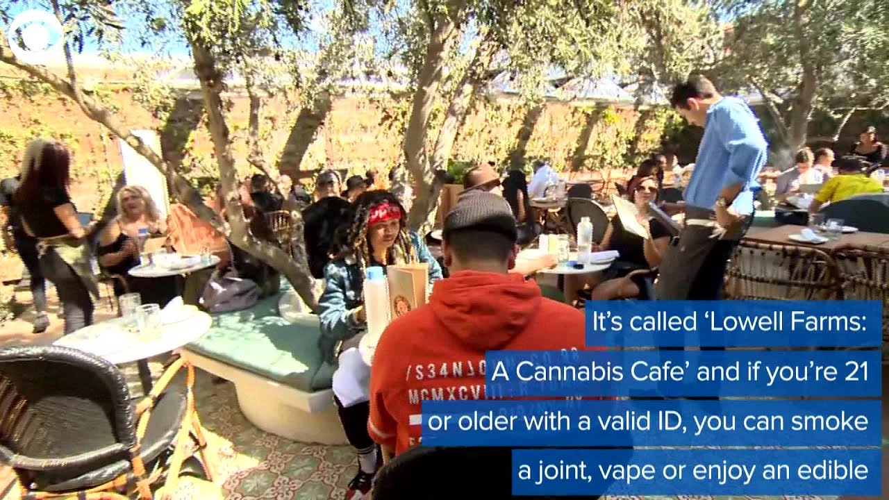 WEB EXTRA: Cannabis Cafe Opens In California