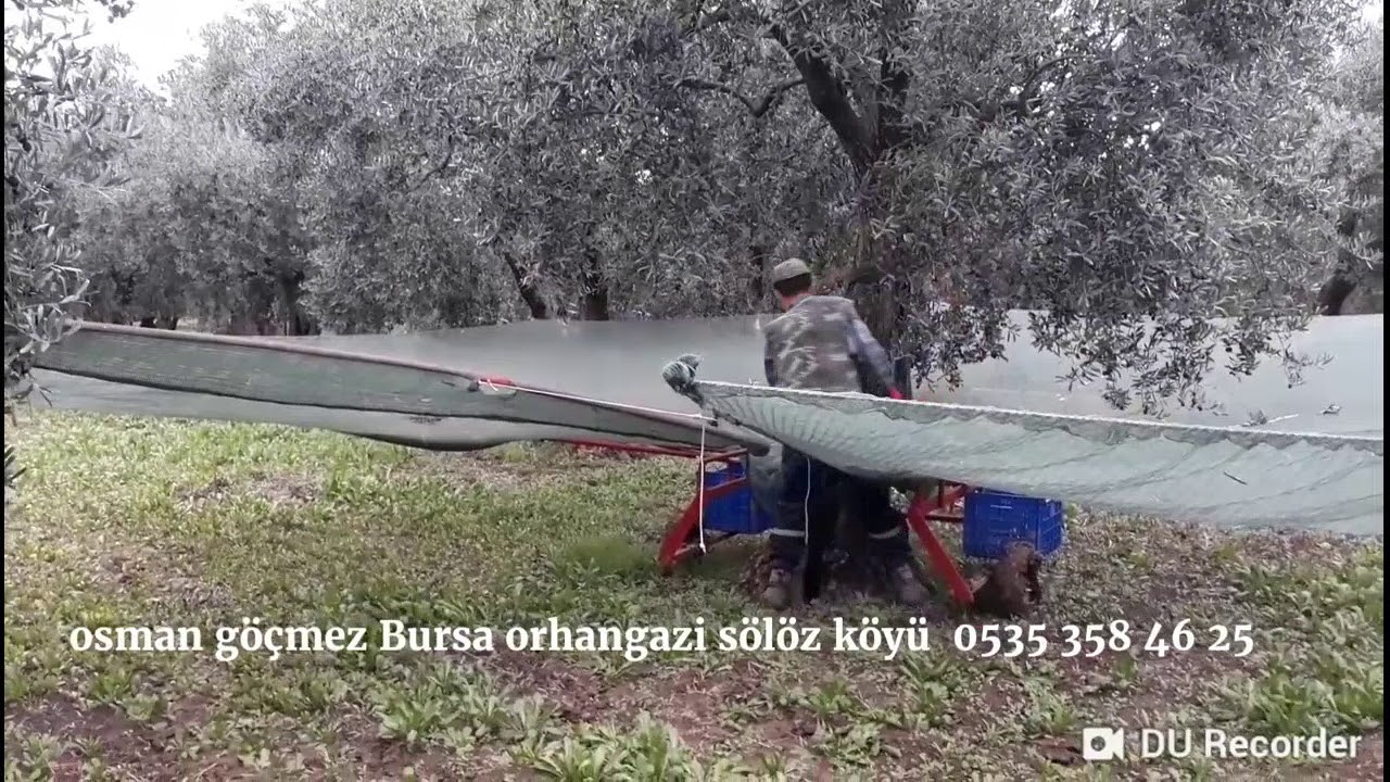 Zeytin ceviz badem erik kayısı vs için yaygı sistemi