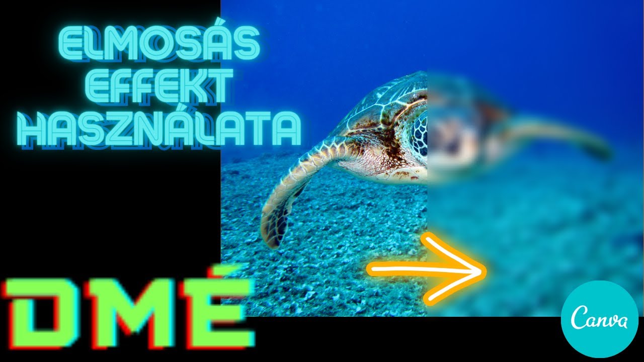 Canva Shorts 17 - Elmos&aacute;s effekt haszn&aacute;lata